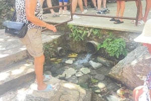 Tour di un'intera giornata: relitti, Laguna Blu e cantina Sterna