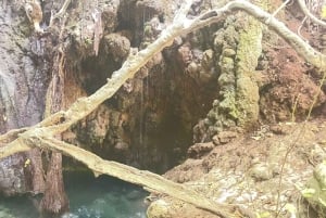 Tour di un'intera giornata: relitti, Laguna Blu e cantina Sterna