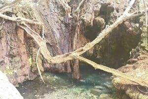 Tour di un'intera giornata: relitti, Laguna Blu e cantina Sterna