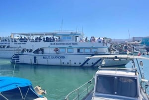 Tour di un'intera giornata: relitti, Laguna Blu e cantina Sterna