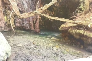 Tour di un'intera giornata: relitti, Laguna Blu e cantina Sterna