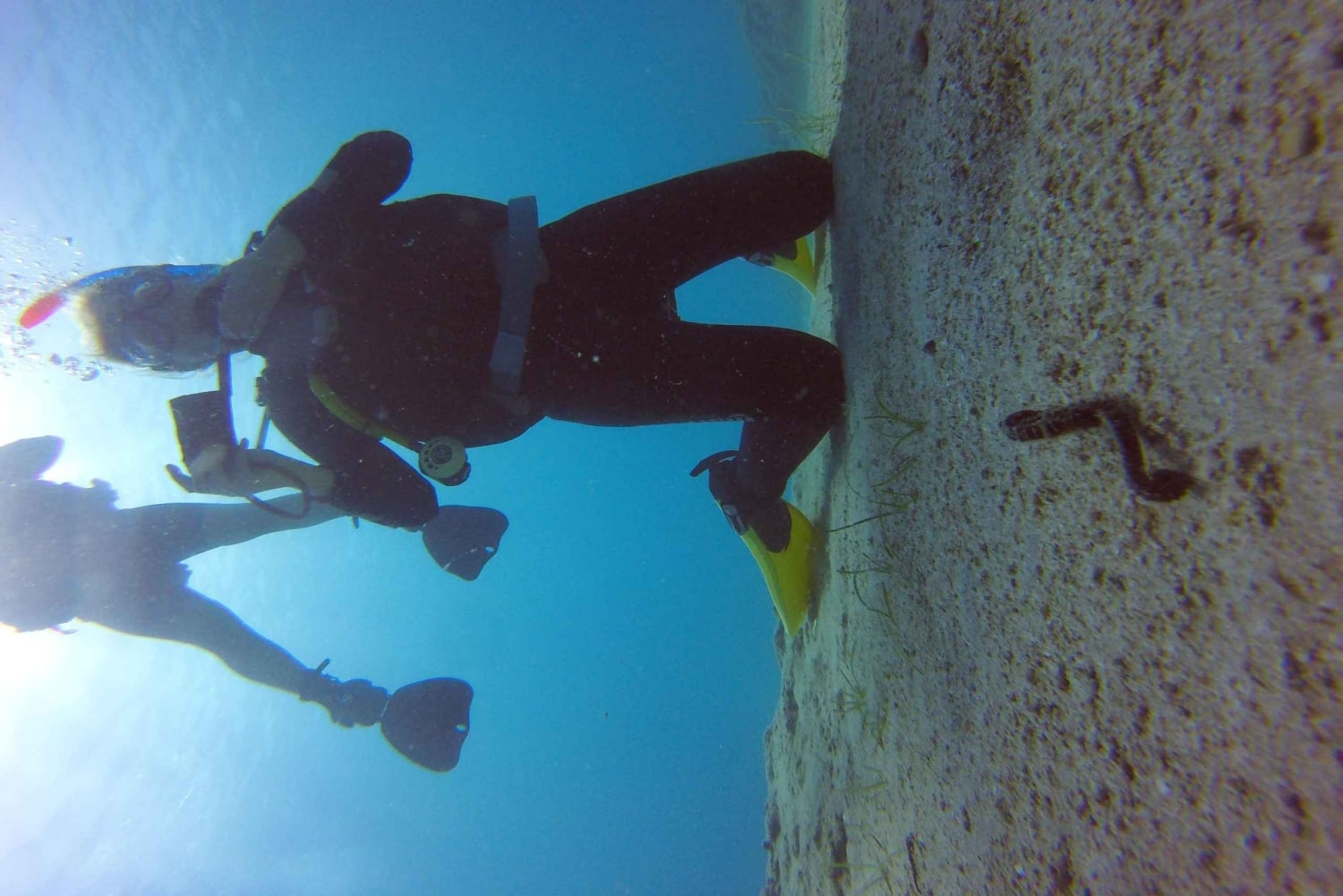Green Bay Private Scuba Diving Adventure