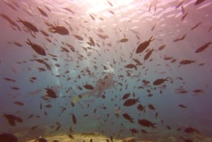 Green Bay Private Scuba Diving Adventure