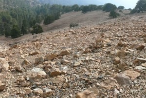 Passeggiata guidata a piedi su Artemide e intorno alla vecchia Kakopetria