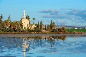 Geschiedenis, natuur & kunst: Een dag in Larnaca-Ayia Napa vanuit Pafos