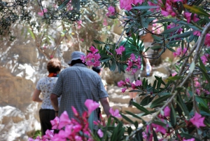 Paphos: Land Rover Jeep Safari Coastal Tour and Blue Lagoon