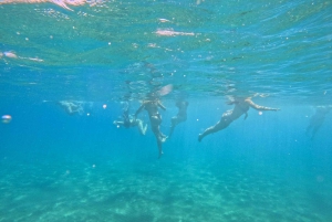 Larnaca Bay Cruise with Snorkeling