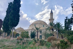 Larnaca: explore the historic city with traditional meal