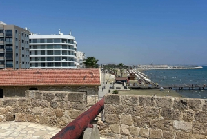 Larnaca: explore the Top-sightseeing-Spots and Saltlakes