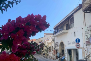 Larnaca hides Gem: Lefkara & Golden Donkey Farm Adventure