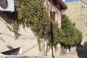 Larnaca hides Gem: Lefkara & Golden Donkey Farm Adventure