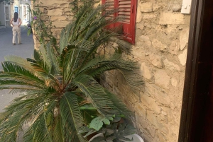 Larnaca hides Gem: Lefkara & Golden Donkey Farm Adventure