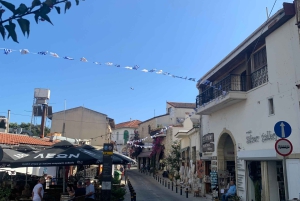Larnaca hides Gem: Lefkara & Golden Donkey Farm Adventure