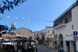 Larnaca hides Gem: Lefkara & Golden Donkey Farm Adventure