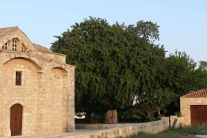 Larnaca: Lefkara Lace, Choirokoitia, and Birdwatching Tour