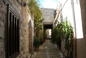 Larnaca: Lefkara Lace, Choirokoitia, and Birdwatching Tour