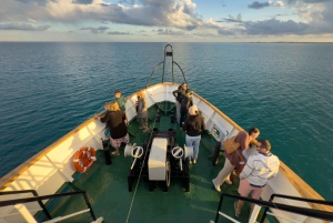 Larnaca: Disco Sunset cruise