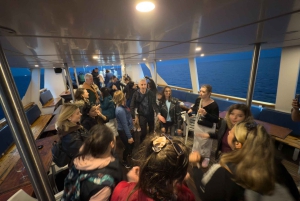 Larnaca: Disco Sunset cruise