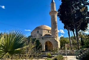 Larnaca: privat guide til at udforske de største seværdigheder