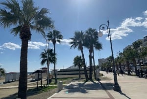 Lárnaca: guía privado para explorar los lugares más destacados