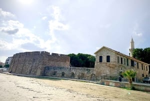 Lárnaca: guía privado para explorar los lugares más destacados