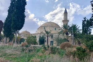 Lárnaca: guía privado para explorar los lugares más destacados