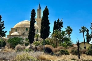 Lárnaca: guía privado para explorar los lugares más destacados