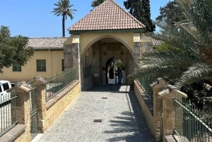 Lárnaca: guía privado para explorar los lugares más destacados