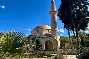 Lárnaca: guía privado para explorar los lugares más destacados