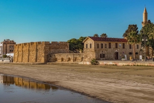 Larnaca : Visite guidée privée à pied avec entrée au musée