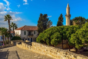 Larnaka: Larnaca: Private Guided Walking Tour with Museum Entry