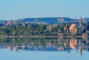 Larnaca: Privéwandeltour met gids en toegang tot het museum