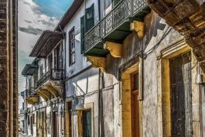 Larnaca : Visite guidée privée à pied avec entrée au musée