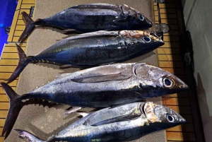 Larnaca: Private Tuna Fishing -Traditional Explorer N Vessel