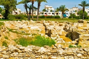 Larnaca Private Walking Tour