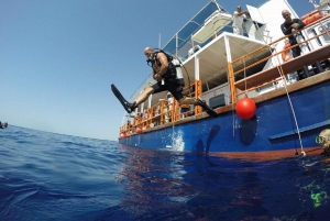 Larnaca: Private Zenobia Beginners Divers