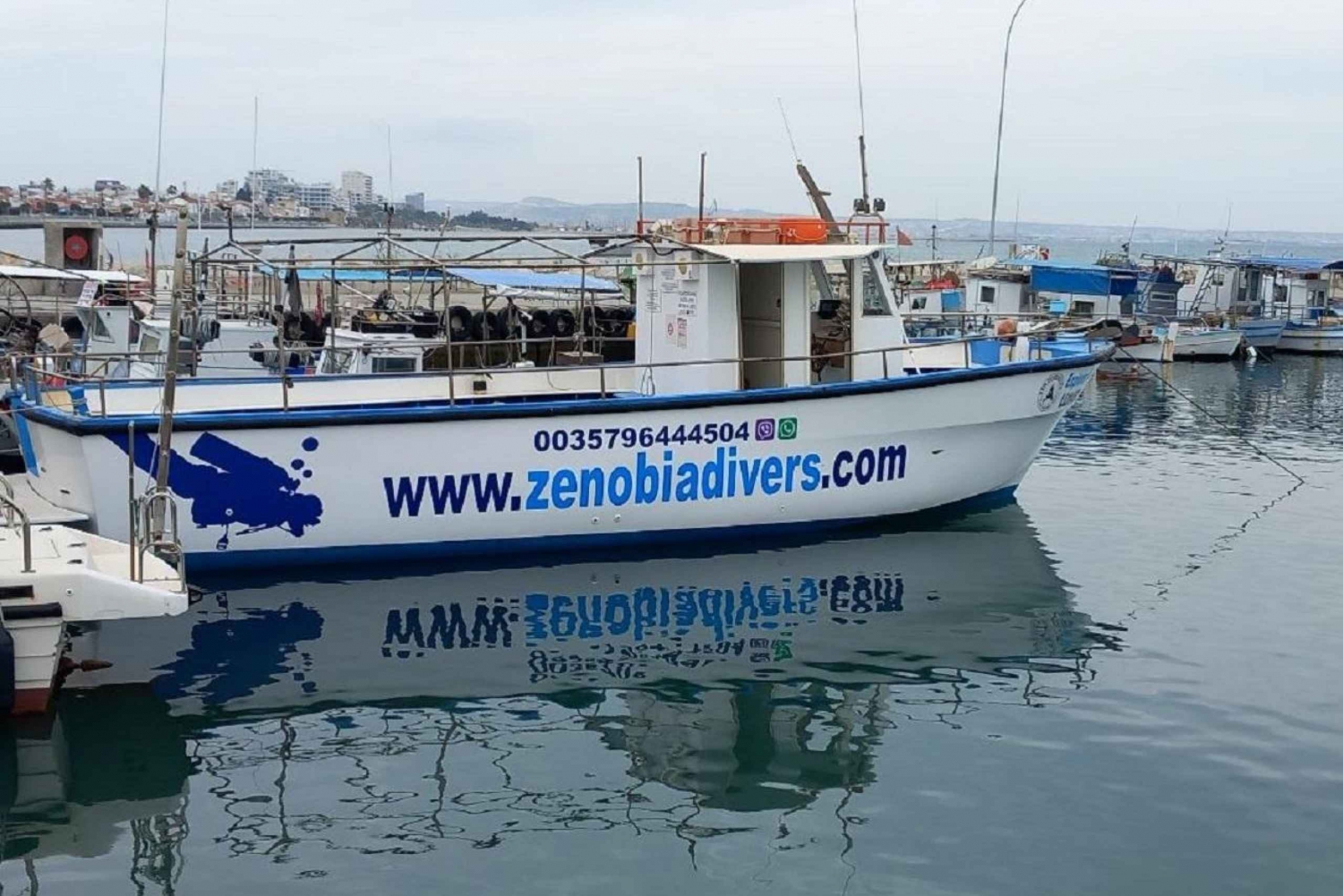 Larnaca: Private Zenobia Qualifizierte Taucher