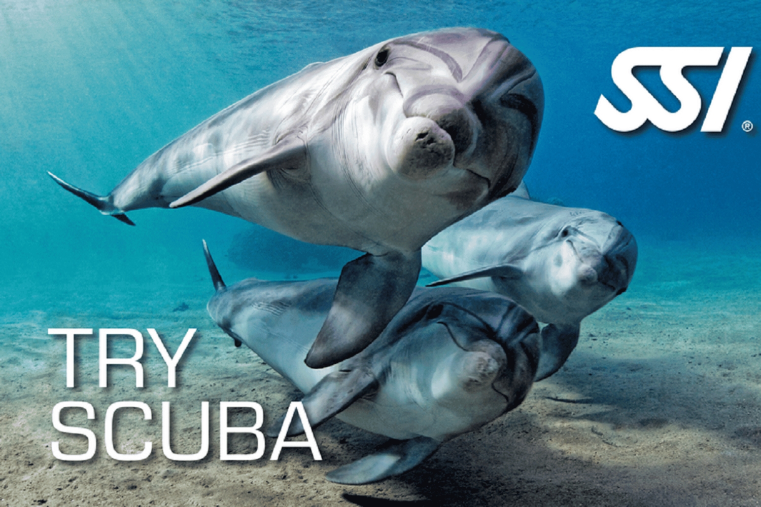 Larnaca: Snorkling ved Zenobia-vrak og minikryss