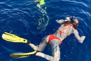 Larnaca: Snorkling ved Zenobia-vrak og minikryss