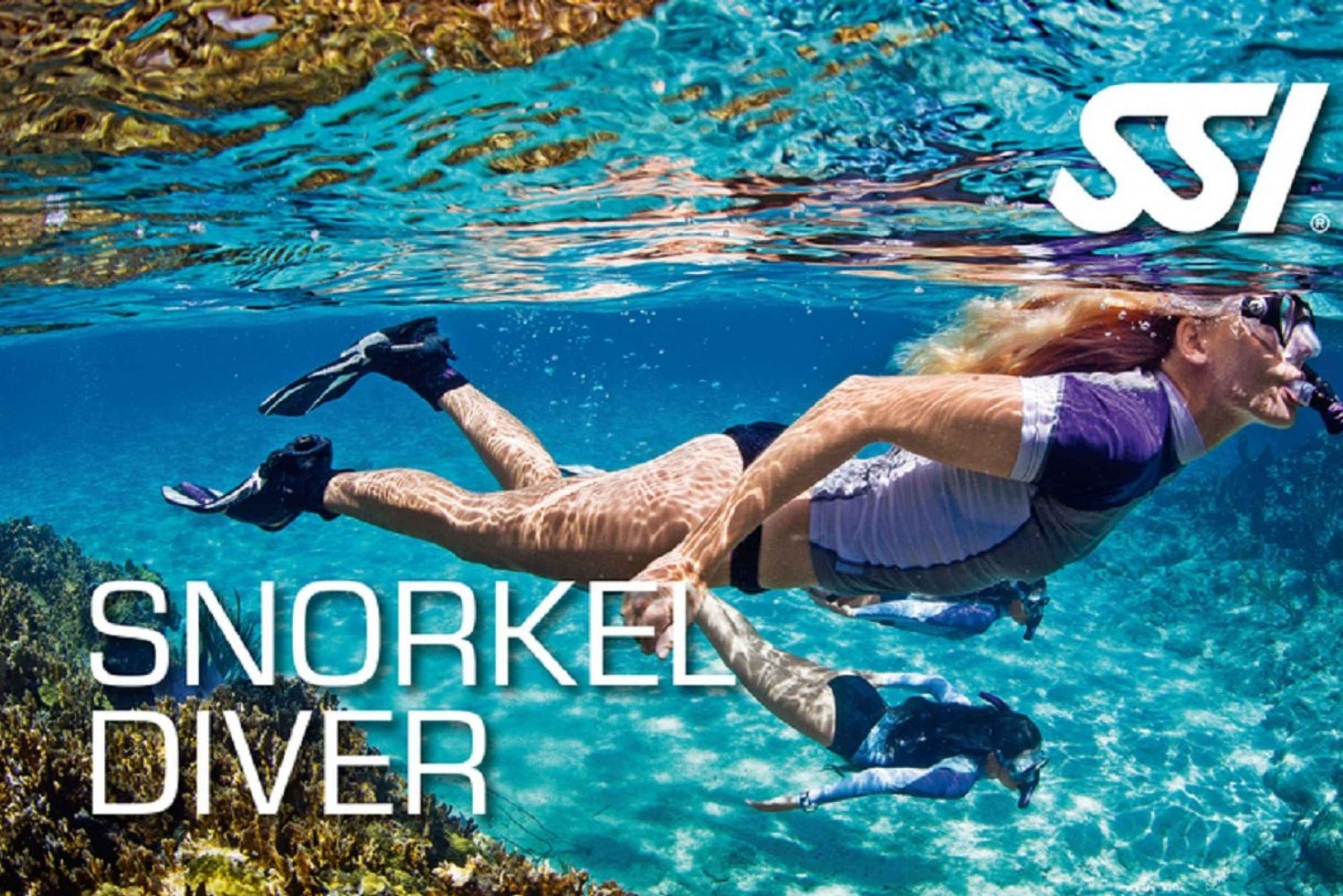 Larnaca: Snorkelling Zenobia Wreck