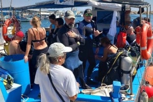 Larnaca: Snorkling på Zenobia-vraget