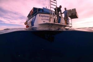 Larnaca: Buceo en el Pecio Zenobia