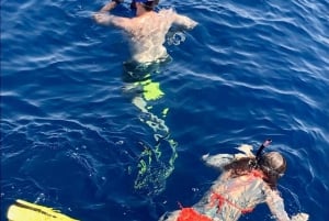 Larnaca: Snorkling på Zenobia-vraget