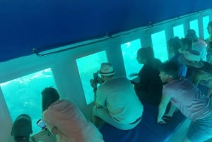 Larnaca: Sunset Cruise met onbeperkt wijn en bier