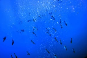 Lárnaca: crucero con el submarino amarillo y bebidas ilimitadas