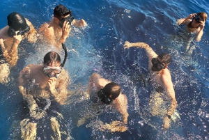 Lárnaca: crucero con el submarino amarillo y bebidas ilimitadas