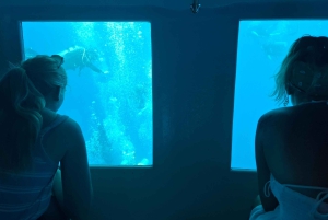 Lárnaca: crucero con el submarino amarillo y bebidas ilimitadas