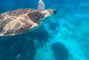 Lárnaca: crucero con el submarino amarillo y bebidas ilimitadas
