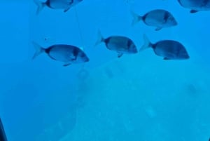 Lárnaca: crucero con el submarino amarillo y bebidas ilimitadas