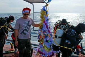 Larnaca: Zenobia Qualified Divers